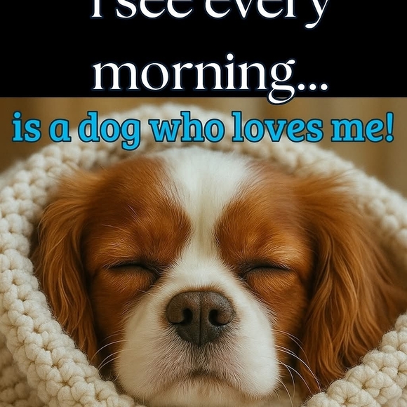 My yorkie has passed my heart is broken ๐ But Above My New Puppy A Fab Gift - Picture 13 of 14